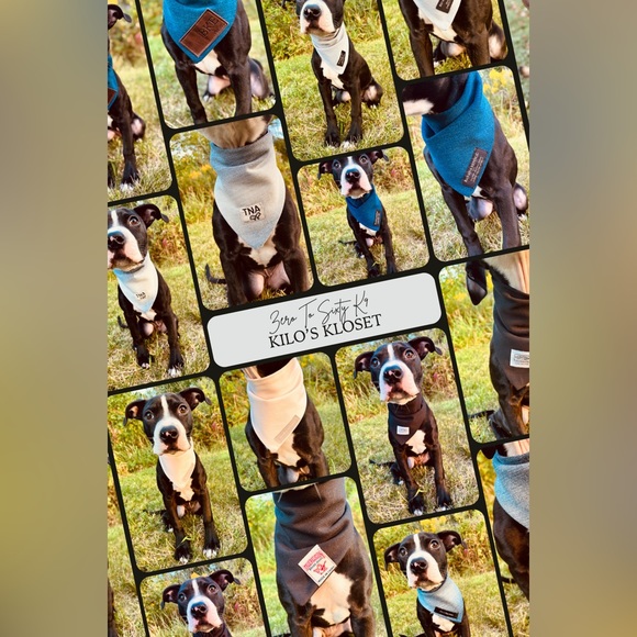 24” West 49 Dog Bandana, West 49, West 49 Jeans, Repurposed, Dog Bandana, Dog - Picture 4 of 8